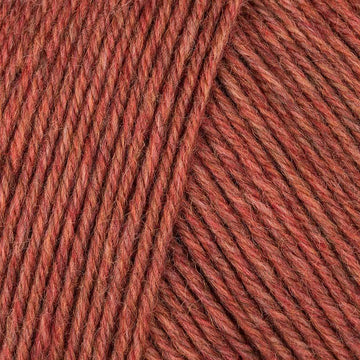 Pfirsich Meliert (07506)