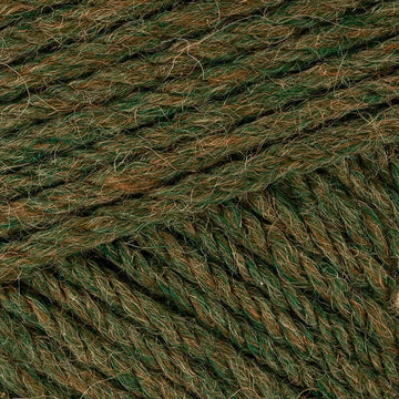 Gorse (2667)