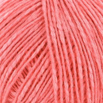 Raspberry (6)