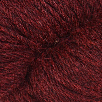 Cranberry (1004)