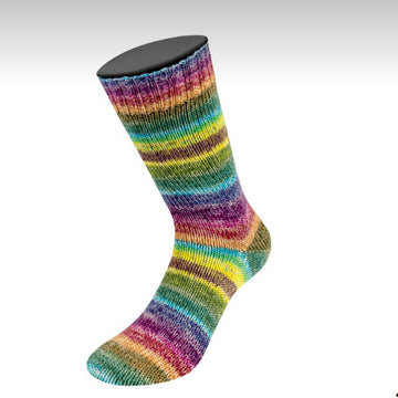 Eggplant, Lime, Yellow, Blue, Forest, Lilac (3492)