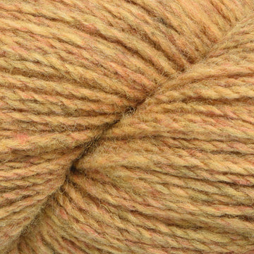 Mustard (112)