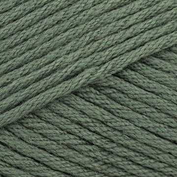 Teal (9744)