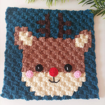 9in1 Christmas Cushion