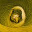 Sunlit green (107)