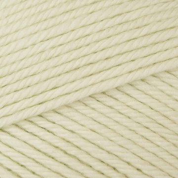 Seafoam Green (Dupl56)
