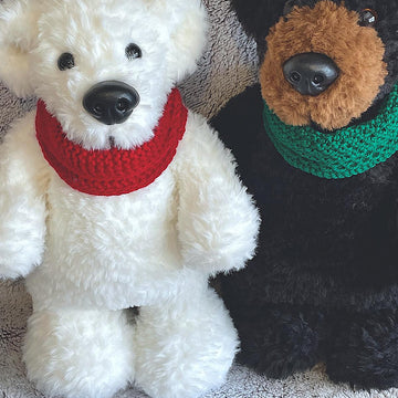 Polar and Grizzly Bear Cousins