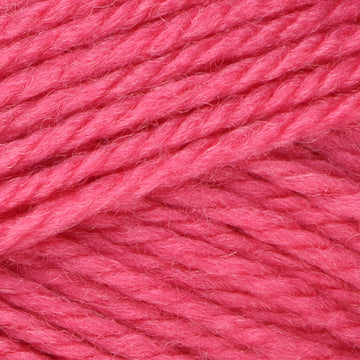 Hibiscus (8331)