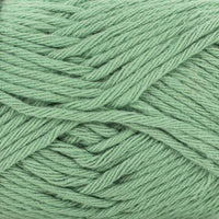 Fern (19)