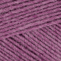 Wisteria  (30)