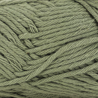 Basil (20)