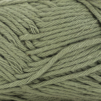 Basil (20)