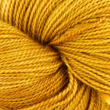 Gold Experience (10)