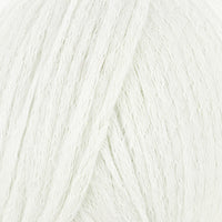 Shell (10301B)