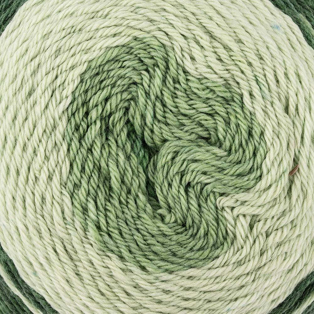 Cascade Yarns Whirligig Yarn - Superwash Merino DK