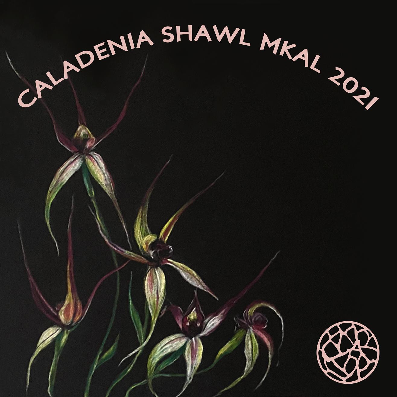 Caladenia Shawl