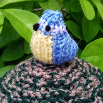 Birdhouse & Blue Tit - Chocolate Orange Cover