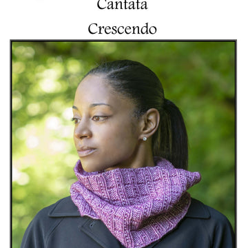 Cascade Yarns A Crescendo Cowl Knitting Pattern