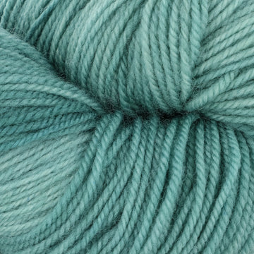 Eucalyptus (2342)