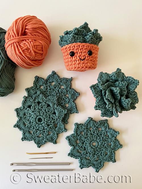 #358 Succulent Coaster Set