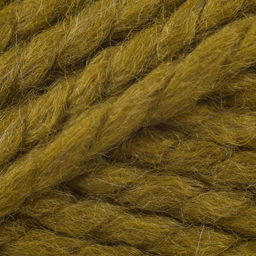 Snapdragon (176)
