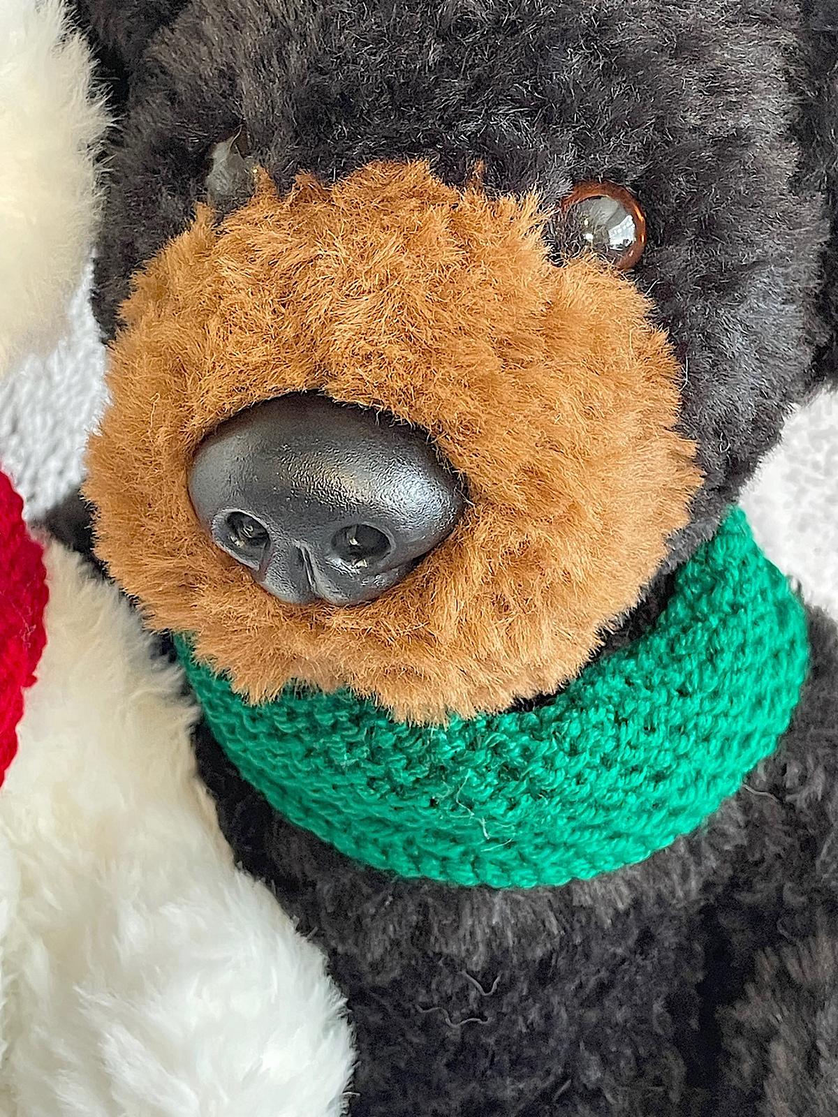 Polar and Grizzly Bear Cousins