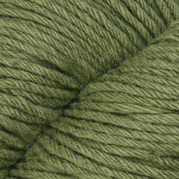 Fern (109)
