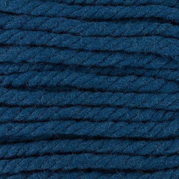 Blue Coral (3)