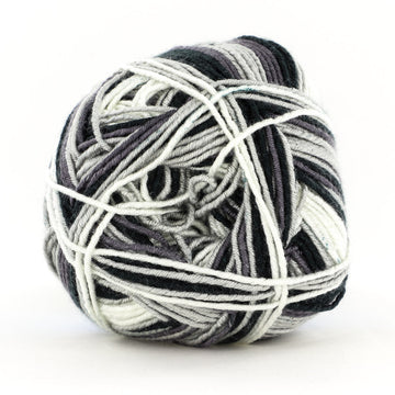 Zebra (007)