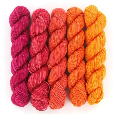 SweetGeorgia Party of Five Tough Love Sock Mini-Skein Set Yarn - Merino Wool 4 Ply
